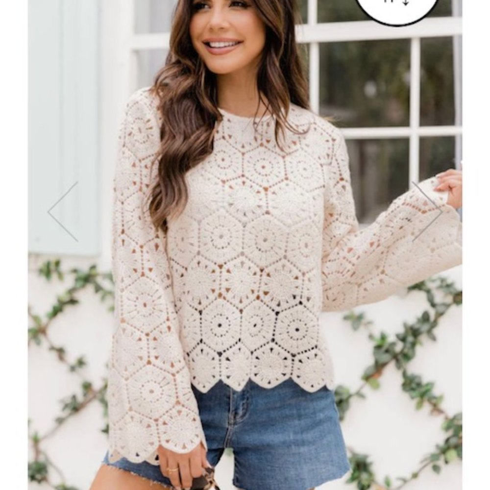 Pink Lily -‎ TAKING THE LEAP BEIGE CROCHET CREW NECK SWEATER